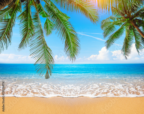 Green leaves of Palm tree and tropical beach