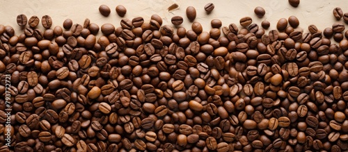 Pile of Roasted Coffee Beans on Table