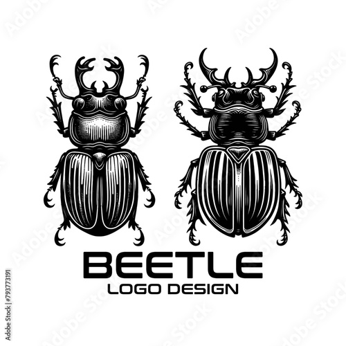 Beetle Vector Logo Design