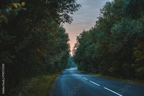 Road on a summer trip