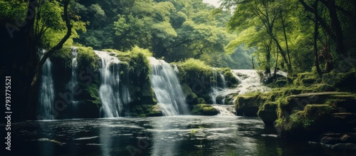 Waterfall in Forest photo