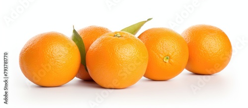 Five oranges with foliage on white background