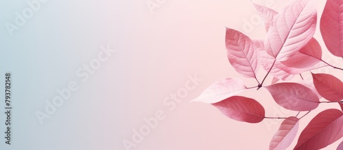 Pink leaves against a pale blue sky