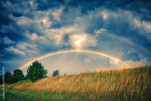 "The rainbow arched gracefully across the sky, its vibrant hues blending seamlessly, casting a magical aura that captivated all who beheld its beauty."