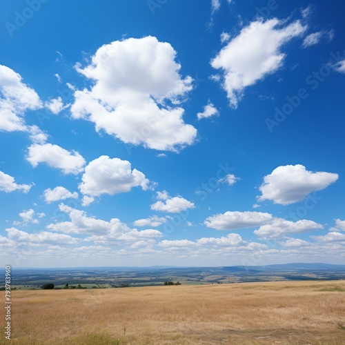 b'Blue Sky and Fluffy White Clouds Over a Vast Grassy Plain'