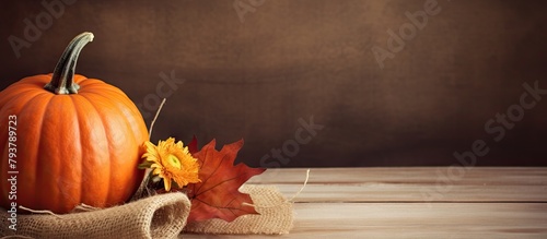 Pumpkin and Fall Foliage on Wooden Surface