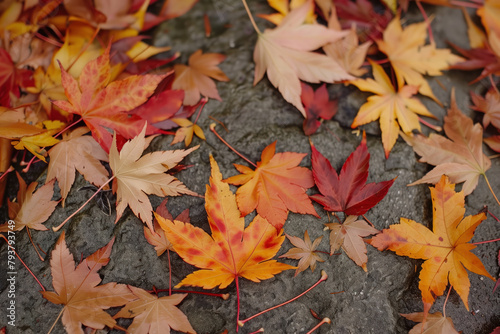 Autumn Leaves, Generative AI