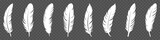 Set of white bird feather icons. Vector illustration isolated on transparent background