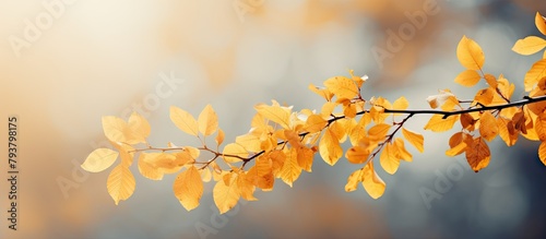Sunlit branch adorned with golden foliage