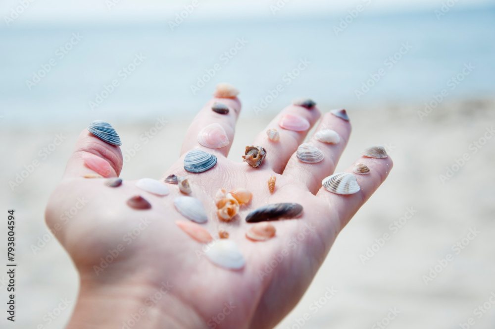 Naklejka premium Sea shell. Travel agency. Traveling at summertime. Seychelles vacation in summer. Beach with sea shell. Hand hold seashell. Skincare. Summer vacation. Seashells on hand at beach
