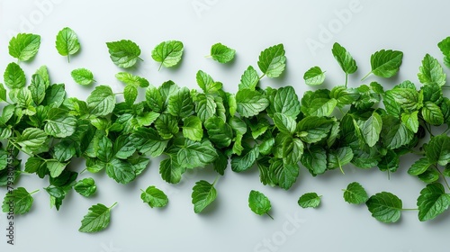 Top view of chopped parsley leaves isolated on white