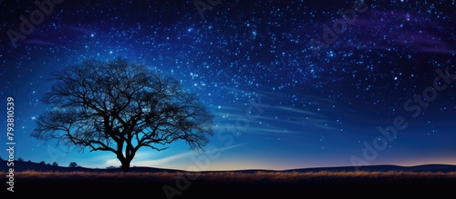 A tree stands alone in a field under a starlit sky