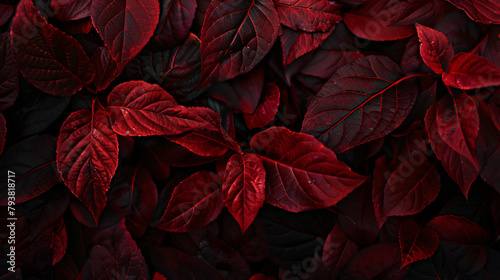 Closeup of red leaves in dark tones as natue background photo