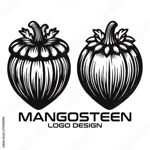 Mangosteen Vector Logo Design photo