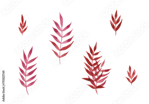 Red autumn rowan leaves. Isolated watercolor flat illustration elements. Leaf decor. Ideal for designing fabrics, wallpaper, tableware and floral items photo
