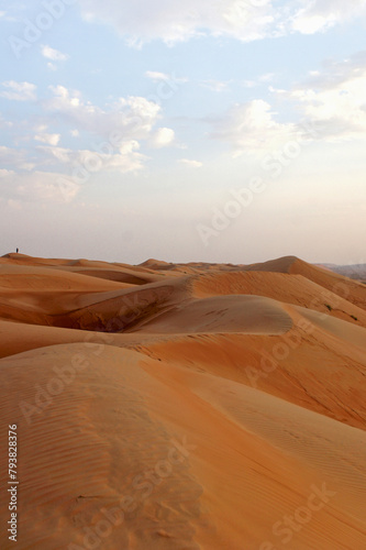 Sand dunes scene