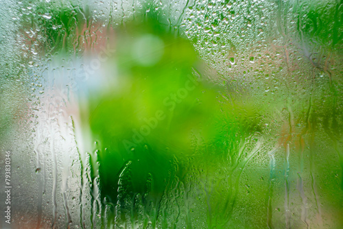 Window glass with water drops on a background of green spring nature.