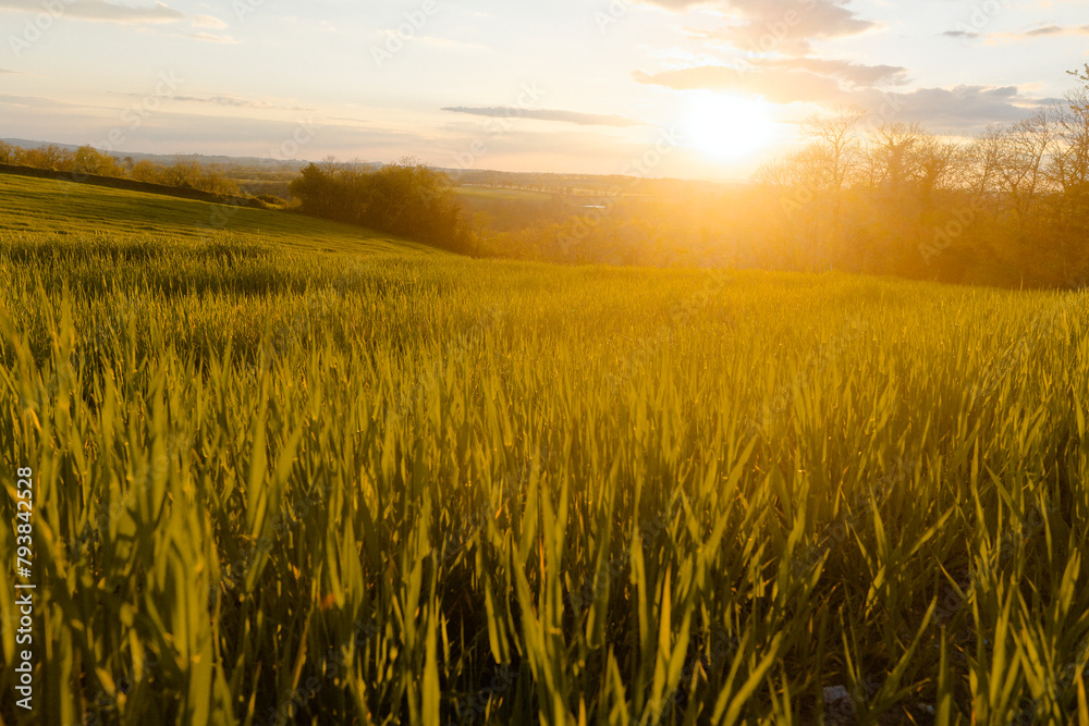 Agriculture field scenery in spring sunlight