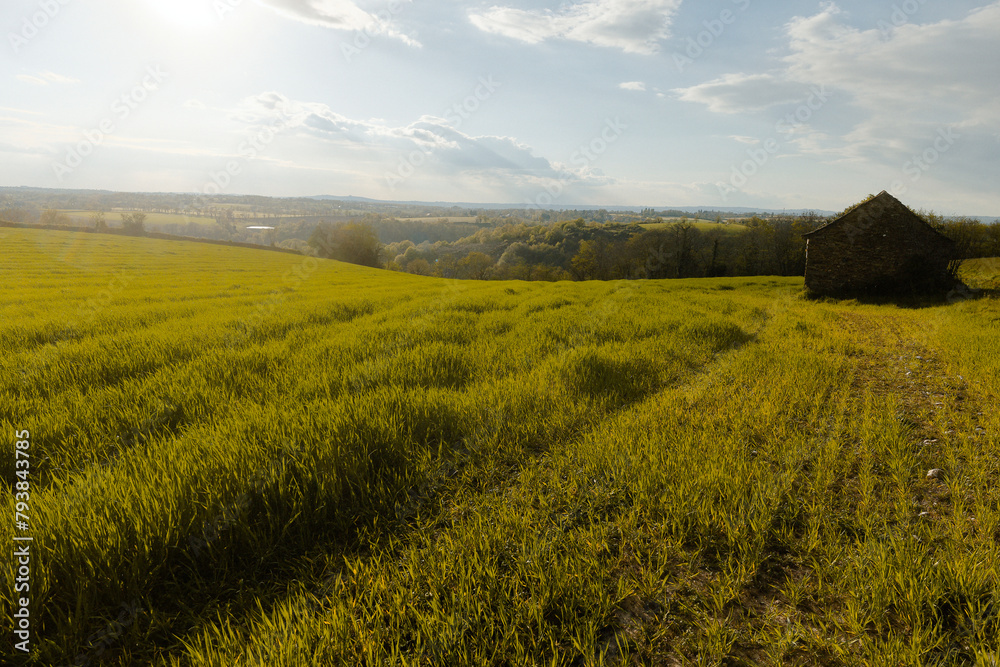 Fototapeta premium Agriculture field scenery in spring sunlight