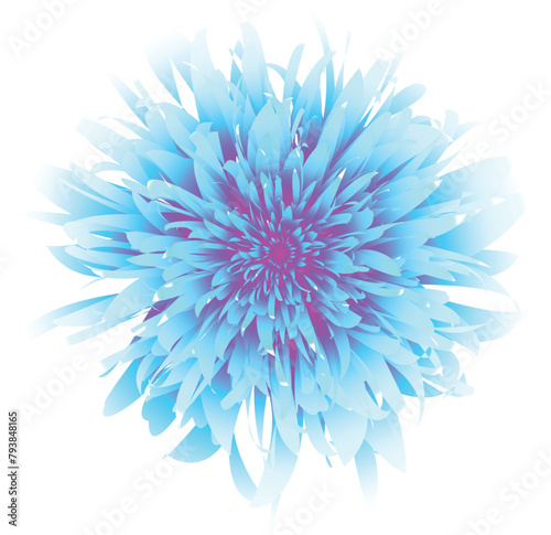 A bright flower similar to a chrysanthemum. It is depicted predominantly in turquoise and purple colors with a gradient effect creating a captivating visual appeal, detailed layers of petals