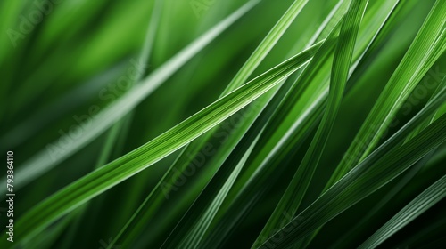 detailed view of vibrant green grass blades reflecting the natural beauty of spring © pier