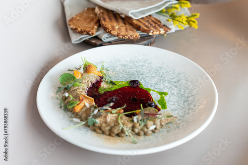 Elegant vegetable pâté with vibrant beetroot coulis and fresh herbs, plated artistically. Culinary excellence with a modern twist. (ID: 793868339)