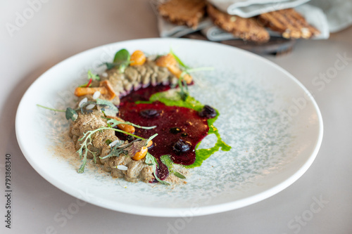 Elegant vegetable pâté with vibrant beetroot coulis and fresh herbs, plated artistically. Culinary excellence with a modern twist. (ID: 793868340)