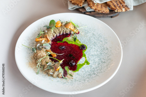Elegant vegetable pâté with vibrant beetroot coulis and fresh herbs, plated artistically. Culinary excellence with a modern twist. (ID: 793868348)