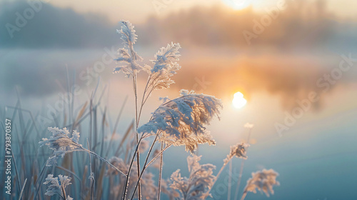 Frosted plants on the shore of lake at misty sunrise. photo