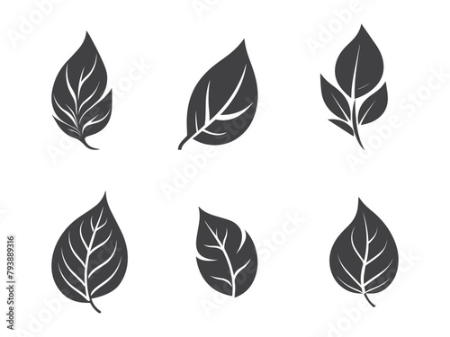 Autumn leaves set  vector illustration  black icon on white background 