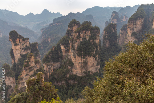 Zhangjiajie National Forest Park (or Avatar park). Wulingyuan, Hunan province, China