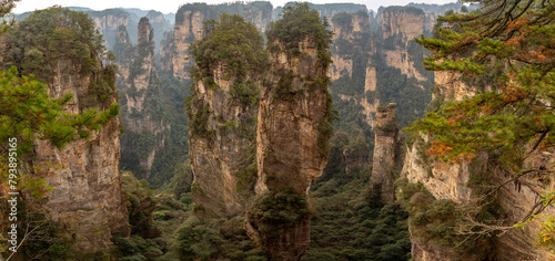Zhangjiajie National Forest Park (or Avatar park). Wulingyuan, Hunan province, China