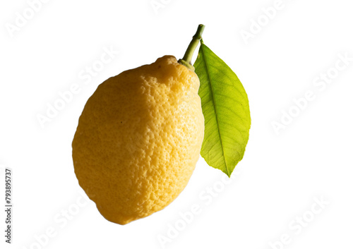 A late lemon orange in april