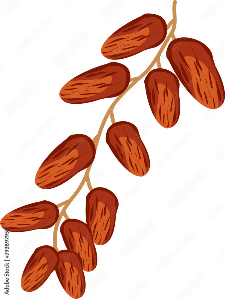 Dates fruit Dates fruit