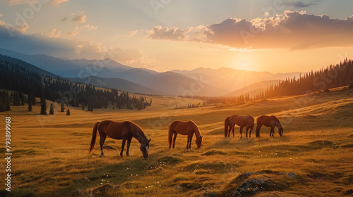 Horses grazing in the mountains at sunset. 