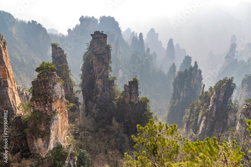 Zhangjiajie National Forest Park  or Avatar park . Wulingyuan  Hunan province  China