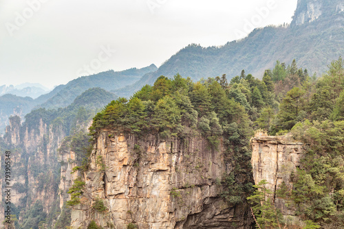 Zhangjiajie National Forest Park (or Avatar park). Wulingyuan, Hunan province, China.