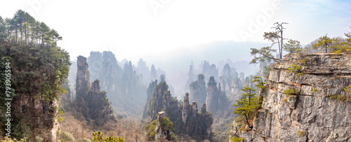 Zhangjiajie National Forest Park (or Avatar park). Wulingyuan, Hunan province, China