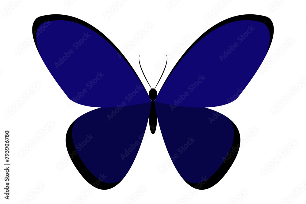 Vector illustration of butterfly on transparent background Vector illustration of butterfly on transparent background