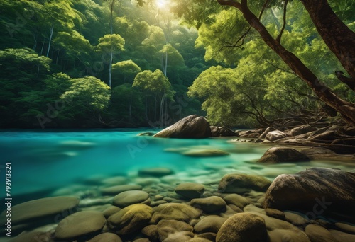 illustration  aerial view capturing tranquil blend dense forest canopy expansive blue sea under clear sky  Capturing  Tranquil  Blend  Canopy  Expanse