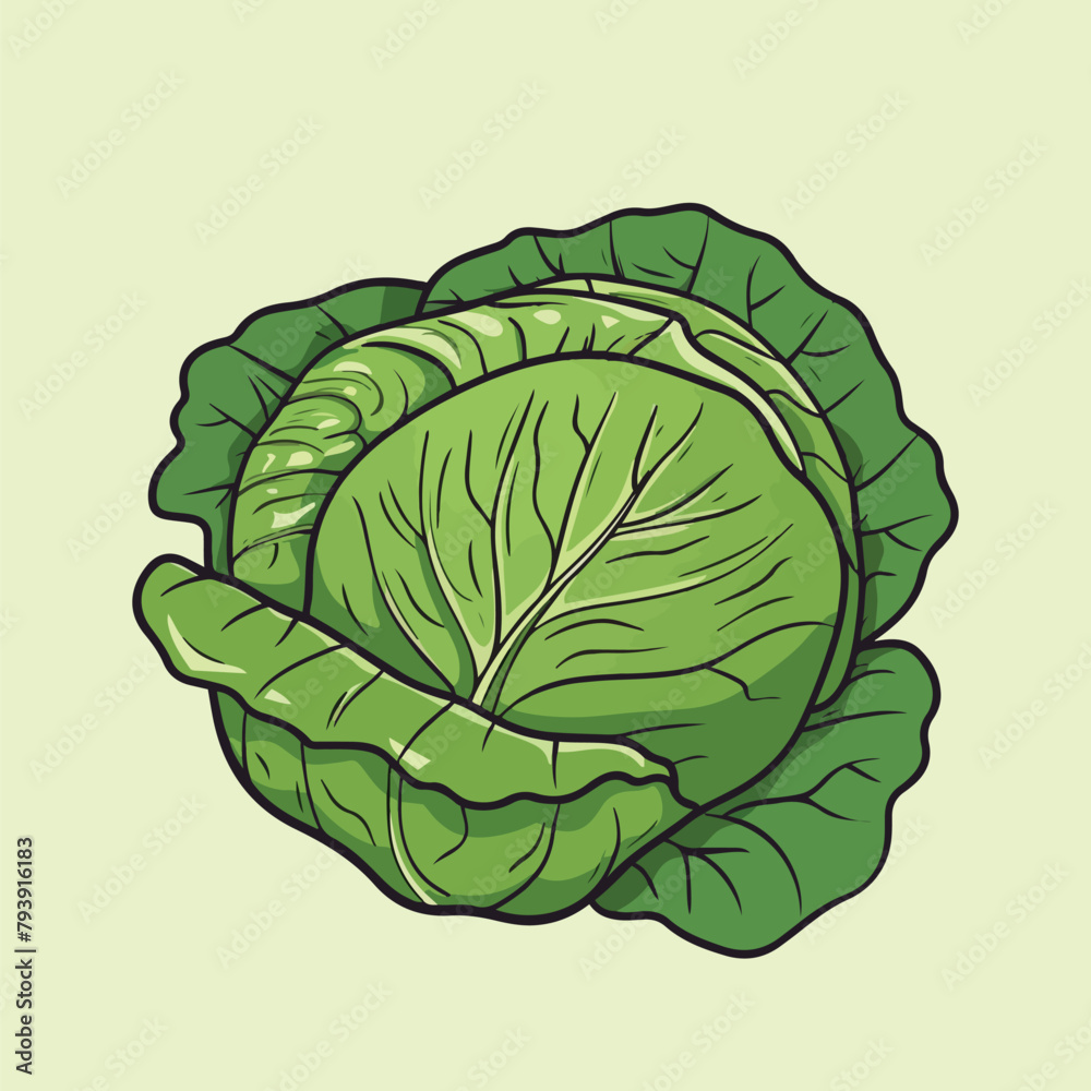 Obraz premium a green cabbage with a leafy vegetable on it.
