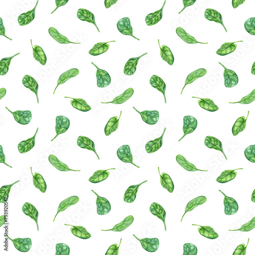 Watercolor repeat, seamless pattern with leafy green flowering plant spinach. Hand drawn illustration for clip art menu label package