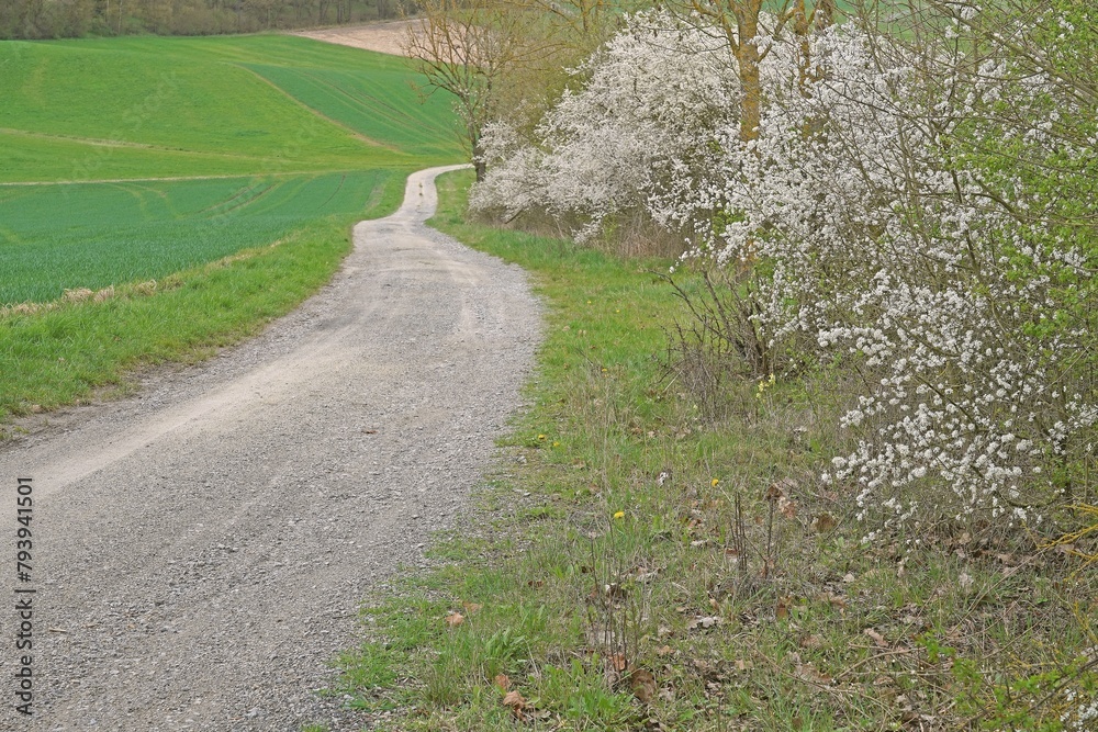 Feldweg Feldweg