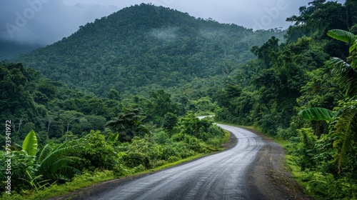A moody road lined with vibrant green foliage winds under a cloudy sky, hinting at the untamed beauty of a tropical rainforest.