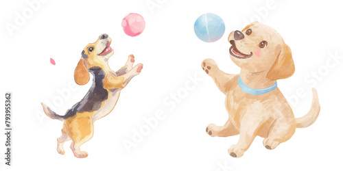 cute dog play the ball watercolor vector illustration