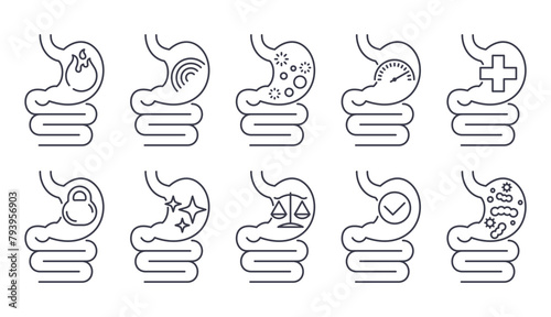 Health of stomach and digestive - icons in thin line photo