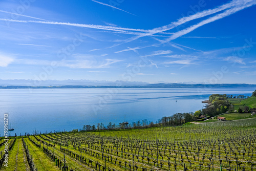 Cortaillod, Petit-Cortaillod, Bevaix, Weinberge, Neuenburgersee, Seeufer, Uferweg, Weinbergdorf, Weinbauer, Alpenpanorama, Schweizer Alpen,  Frühling, Neuchâtel, Schweiz