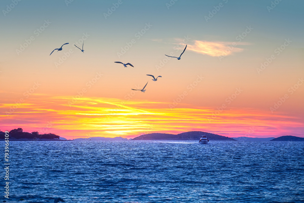Sea gull on sunset sky and remote boat on water, Croatia