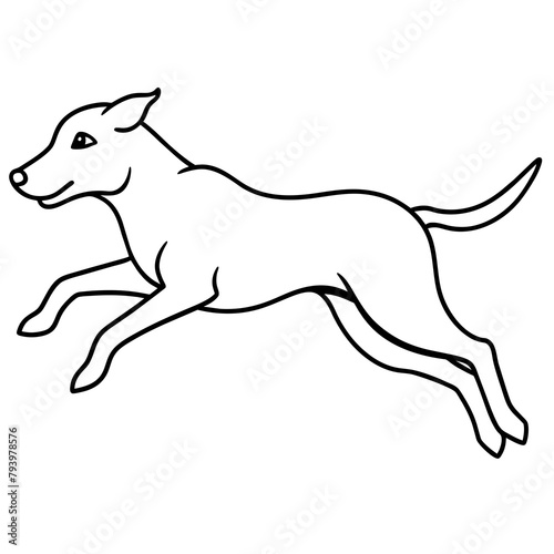 jumping dog vector illustration