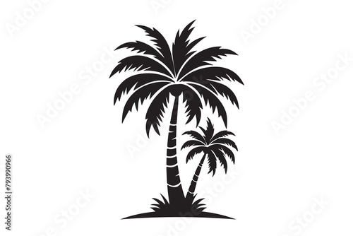 Silhouette of Palm tree Vector, Palm tree silhouette © Tshirt